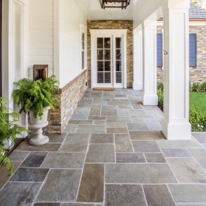 Photo of Scapes