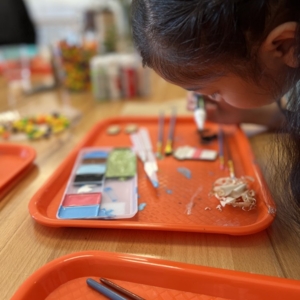 Photo of The Stem Zone