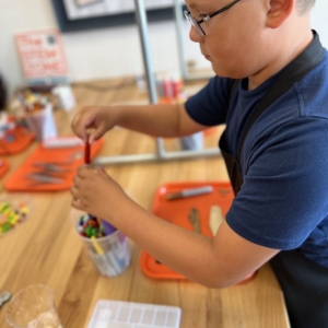 Photo of The Stem Zone