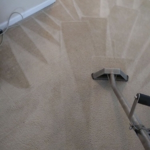 Photo of Steven's Carpet Cleaning