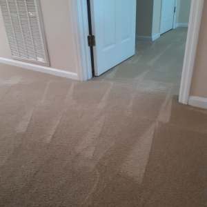 Photo of Steven's Carpet Cleaning