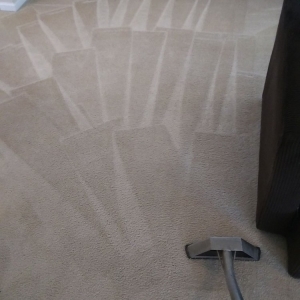 Photo of Steven's Carpet Cleaning