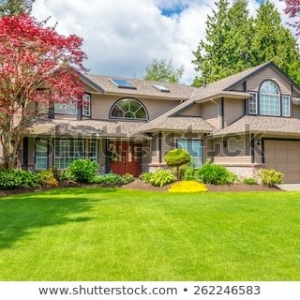Photo of Accent Lawn Care Services
