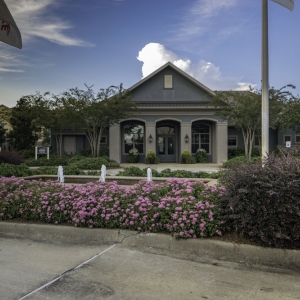 Photo of Accent Lawn Care Services