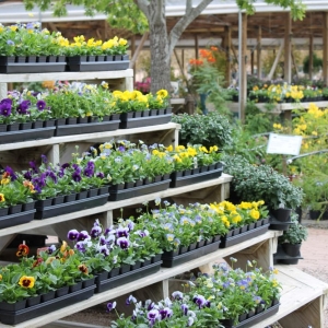 Photo of Backbone Valley Nursery