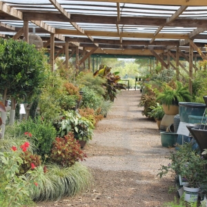 Photo of Backbone Valley Nursery