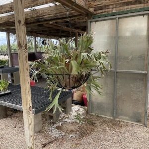 Photo of Backbone Valley Nursery