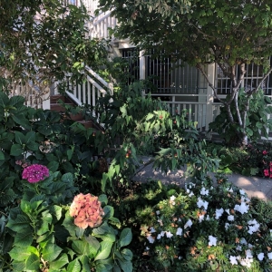 Photo of Seabright Mortgage
