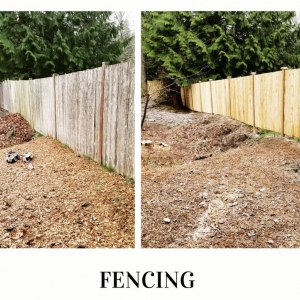 Photo of Totem Lake Landscaping and services