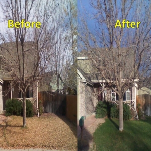 Photo of A Brighter Day Window Cleaning