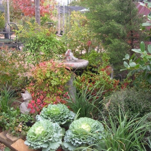 Photo of Rohde's Organic Landscape Services