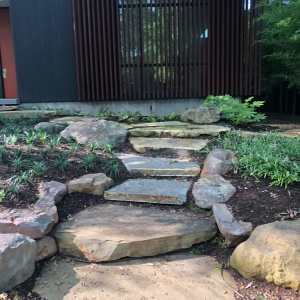 Photo of Rohde's Organic Landscape Services