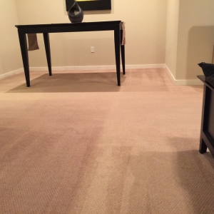 Photo of Simply Clean