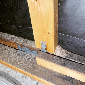 Photo of Same Day Termite