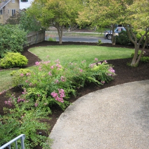 Photo of A Cut Above Tree & Landscaping