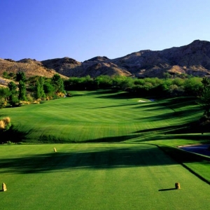 Photo of Pro Turf International