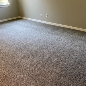 Photo of 5 Star Carpet Cleaning