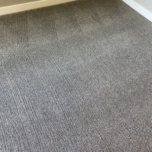 Photo of 5 Star Carpet Cleaning