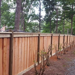 Photo of Beaver Fencing