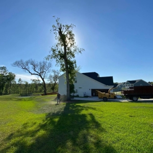 Photo of C & N Tree Service and Landscaping