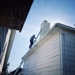Photo of Skyline Roofing