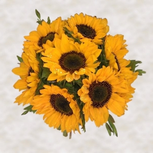 Photo of Norah MitchellFlowers