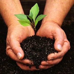 Photo of Landcare Logic