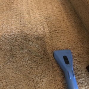 Photo of Silver Olas Carpet Tile Flood Cleaning