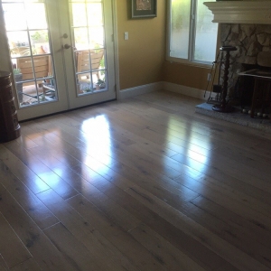 Photo of Silver Olas Carpet Tile Flood Cleaning