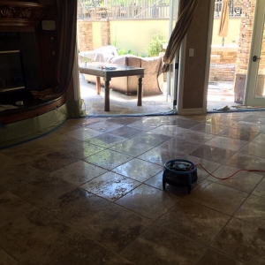 Photo of Silver Olas Carpet Tile Flood Cleaning