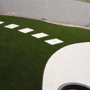 Photo of Artificial Grass Solution
