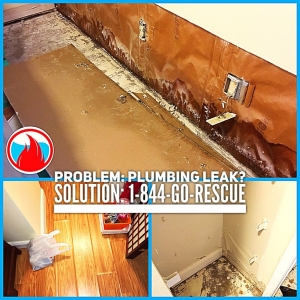 Photo of Rescue Restoration