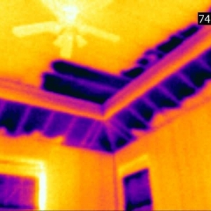 Louisville SporeTech Mold Investigations, LLC