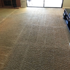 Photo of Discenzo Carpet Cleaning Service