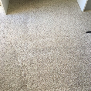 Photo of Discenzo Carpet Cleaning Service