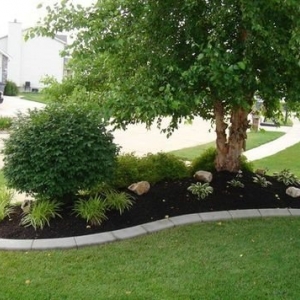Photo of Will Way Lawn Care