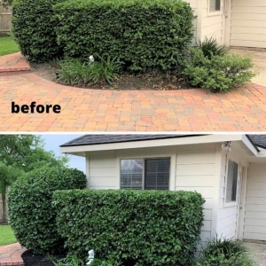 Photo of Will Way Lawn Care