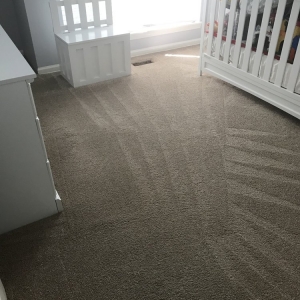 Photo of MarekCare Carpet Cleaning And Svcs