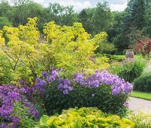 Photo of High Definition Lawn and Landscape