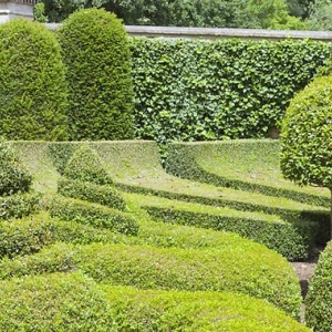 Photo of High Definition Lawn and Landscape