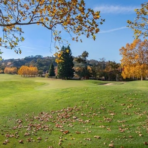 Photo of High Definition Lawn and Landscape