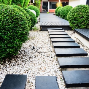 Photo of High Definition Lawn and Landscape