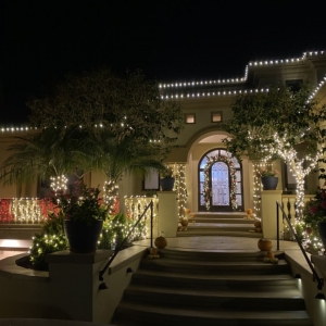 Photo of Christmas Light Installation