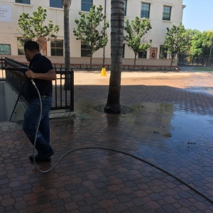Photo of Shine Walk High Pressure Washing Services