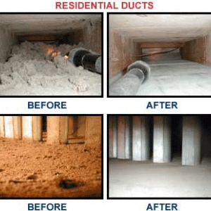 Photo of Omni Carpet Cleaning