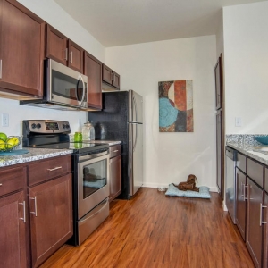Photo of Ironhorse Apartments