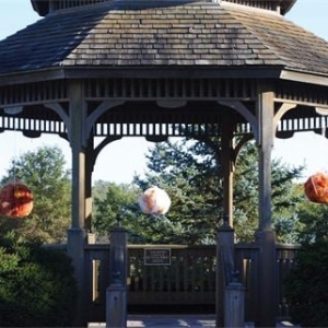 Photo of The Reception Room