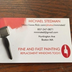 Photo of Fine & Fast Painting