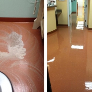 Photo of Commercial Floor Care