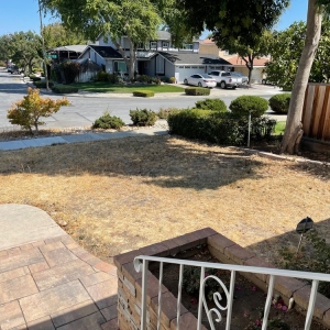 Photo of From the Ground Up Landscaping